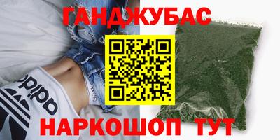гашик Кингисепп