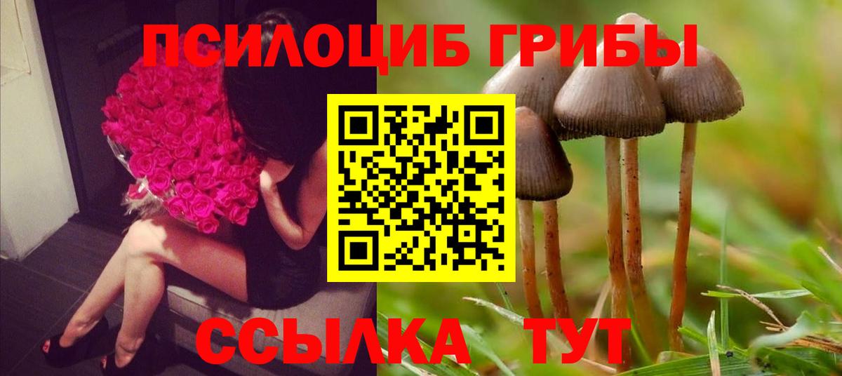 Кингисепп  Галлюциногенные грибы мухоморы  Вход с VPN 